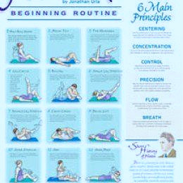 Pilates Posters Buy Online | Mat pilates workout, Mat pilates, Pilates for  beginners